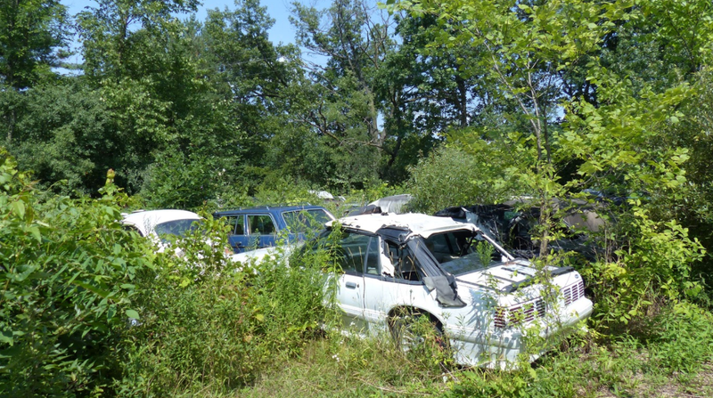 Illustration for article titled A Michigan Town Is Forcing This Man To Sell 20 Old Cars Off His Property Every Month